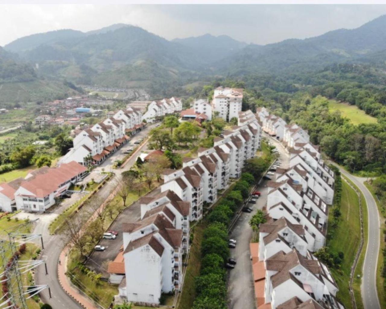 Thatniceplace, Selesa Hillhomes, Bukit Tinggi, Janda Baik, Genting Bentong Eksteriør billede