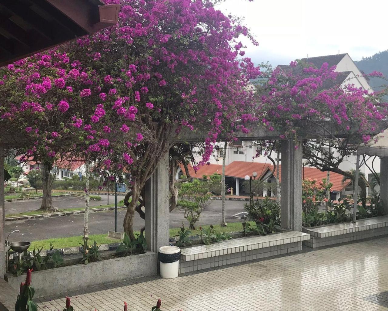 Thatniceplace, Selesa Hillhomes, Bukit Tinggi, Janda Baik, Genting Bentong Eksteriør billede